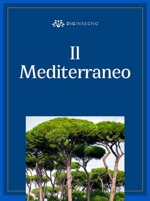 Cover Il Mediterraneo