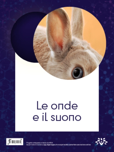 Cover Le onde e il suono