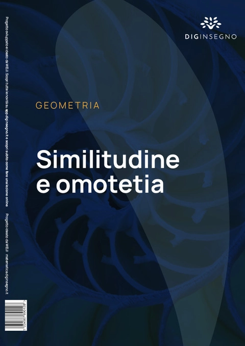 Cover Similitudine e omotetia