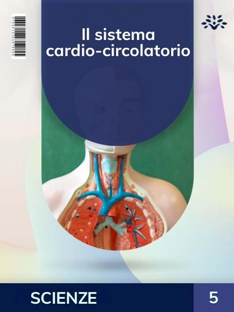 Cover Il sistema cardio-circolatorio