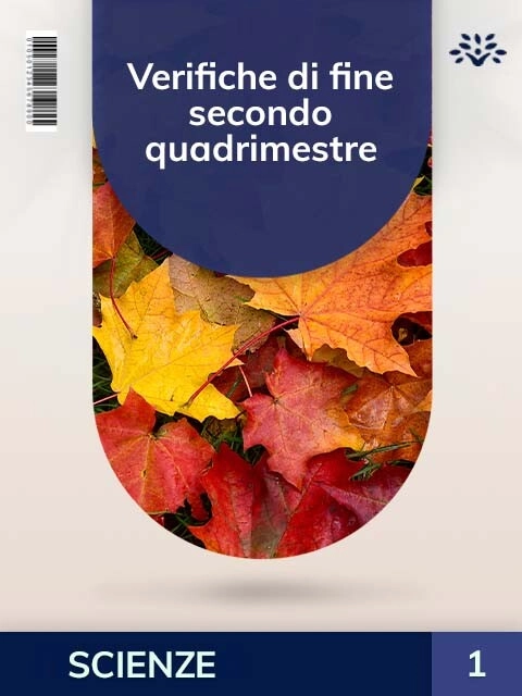 Cover VERIFICHE DI FINE SECONDO QUADRIMESTRE