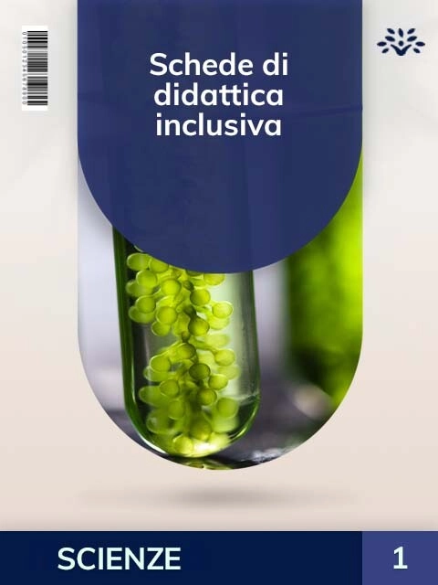 Cover Schede di didattica inclusiva
