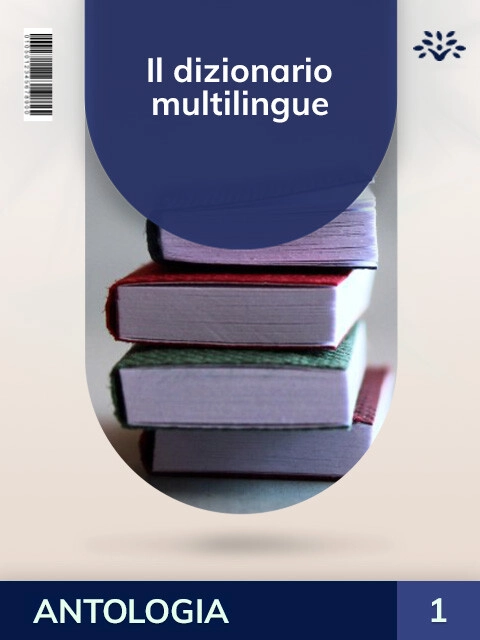 Cover Il dizionario multilingue